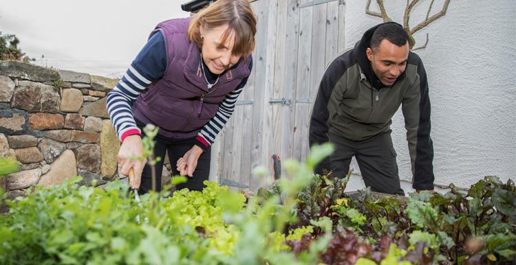 Woman and man gardening