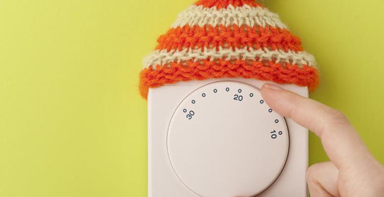 Thermostat with Wooly Hat