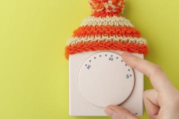 Thermostat with Wooly Hat